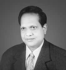 Hon'ble Mr. Justice Radha Krishna Patra